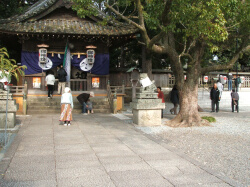 湯浅大宮 顯國神社の初詣